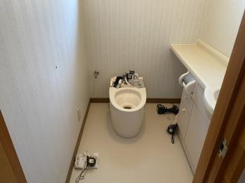 202000401maruyamasamatei-tyu10.jpg
