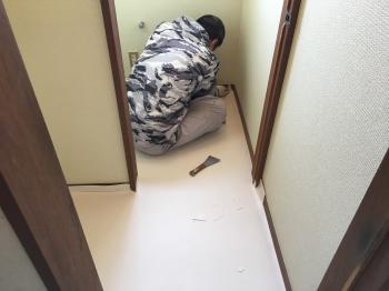 iida-tyu000.jpg