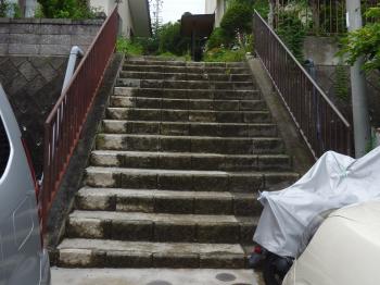 20200228miyazawatei-tyu03.jpg