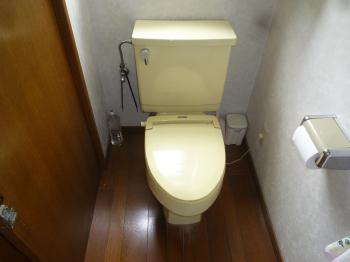 ogasawara-mae003.jpg