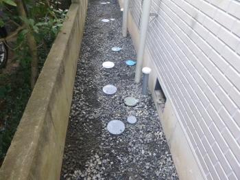 iizumi-tyu005.jpg