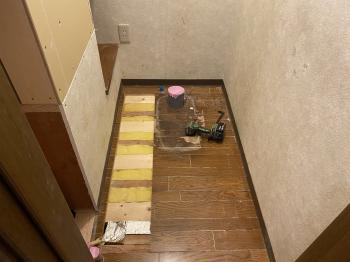 IMG_2270.jpg