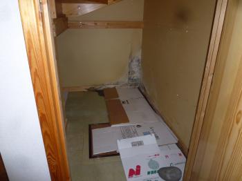 P1110201.jpg
