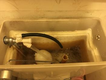 写真 2018-01-19 16 59 38.jpg